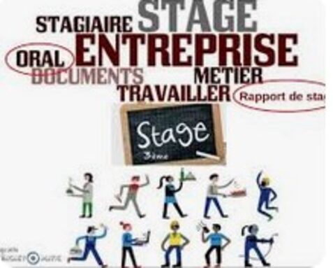 Capture d’écran 2026-01-20 094328.jpg